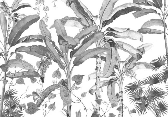 Standard Non-woven Croissances Monochrome