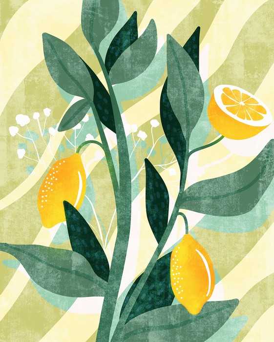 Standard Non-woven Lemon Fresh