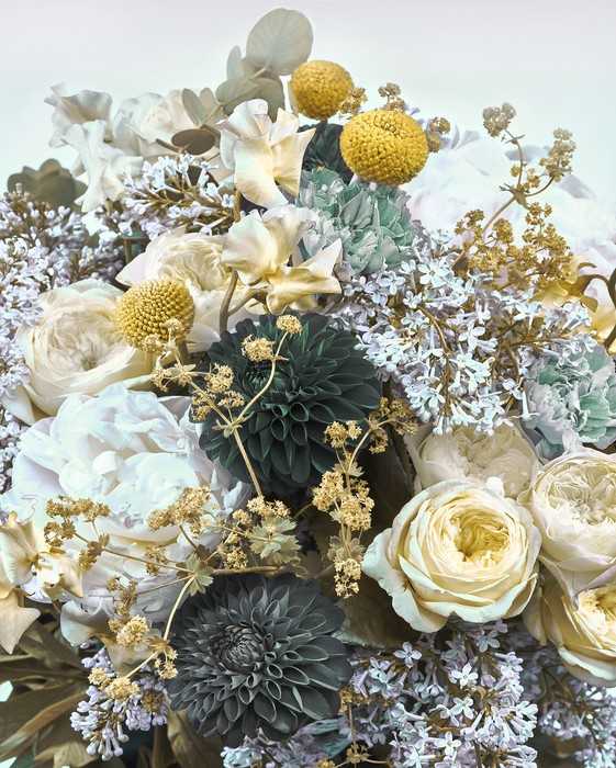 Standard Non-woven Gentle Bloom