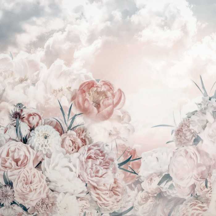 Standard Non-woven Blossom Clouds