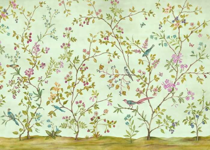 Standard Non-woven Oiseaux du Paradis