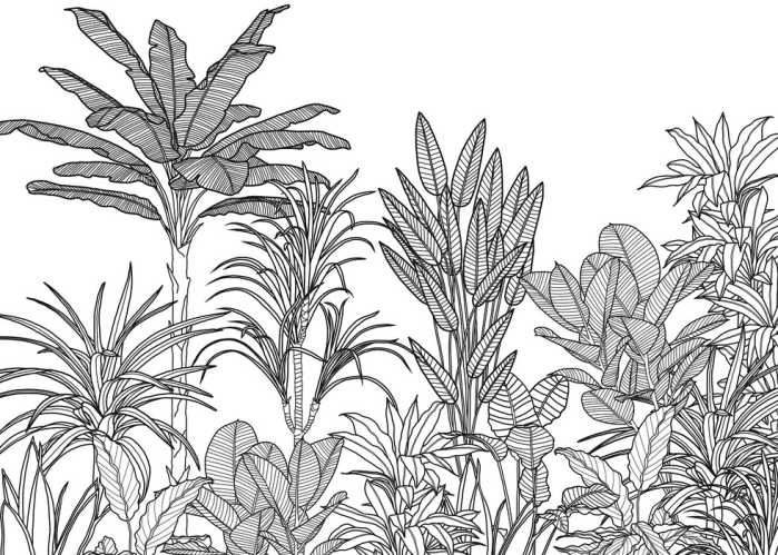 Standard Non-woven Savanna