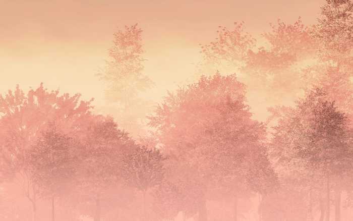 Standard Non-woven Heartwood