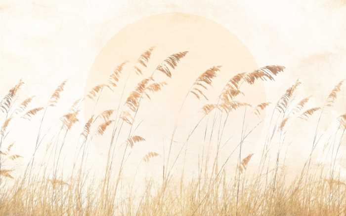 Standard Non-woven Dune Grass