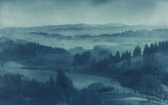 Premium Non-Woven Twilight
