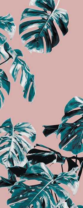 Premium Non-Woven Monstera Rosé Panel 