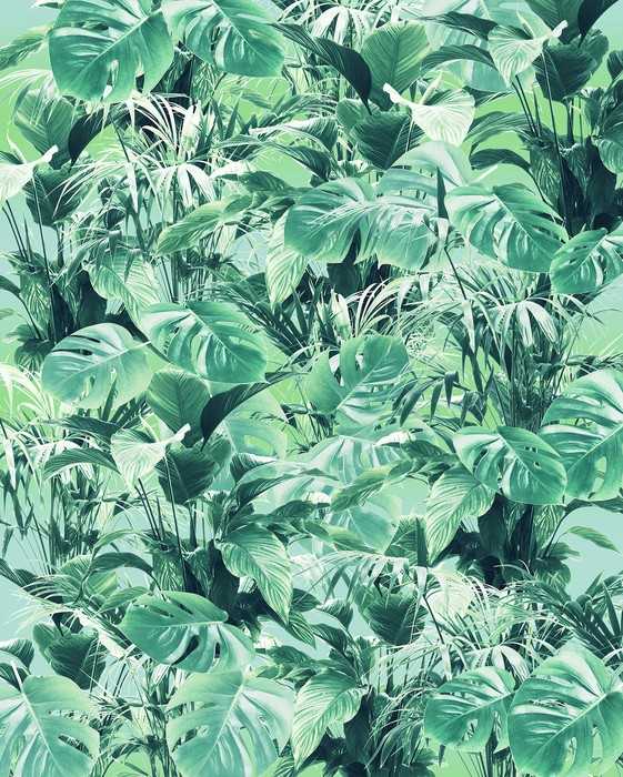 Premium Non-Woven Evergreen