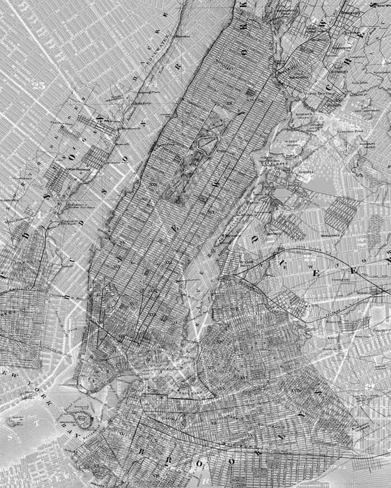 Premium Non-Woven NYC Map