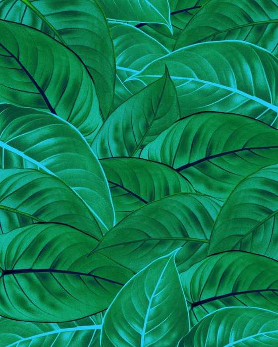 Premium Non-Woven Jungle Leaves