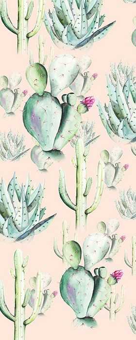 Premium Non-Woven Cactus Rose