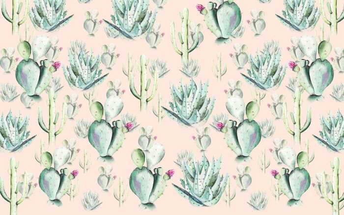 Premium Non-Woven Cactus Rose