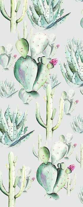Premium Non-Woven Cactus Grey