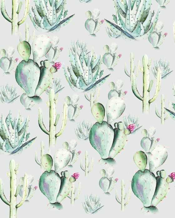 Premium Non-Woven Cactus Grey