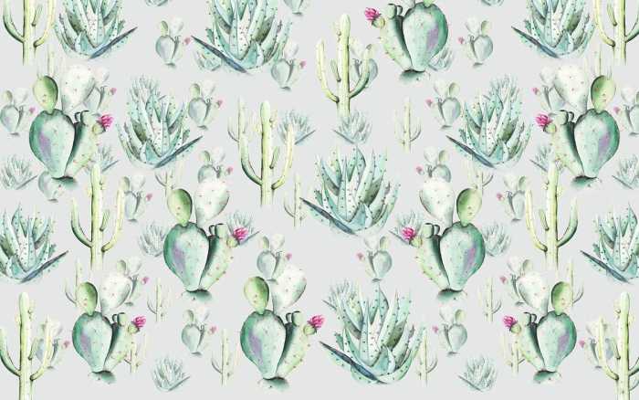 Premium Non-Woven Cactus Grey