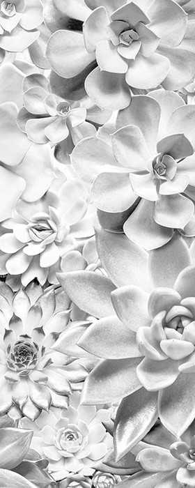 Premium Non-Woven Shades Black and White