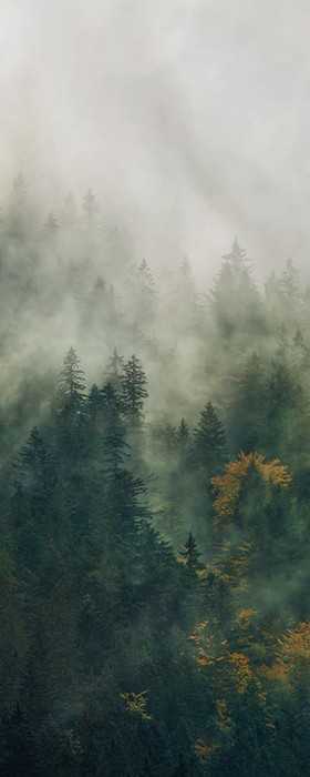 Premium Non-Woven Tales of the Carpathians