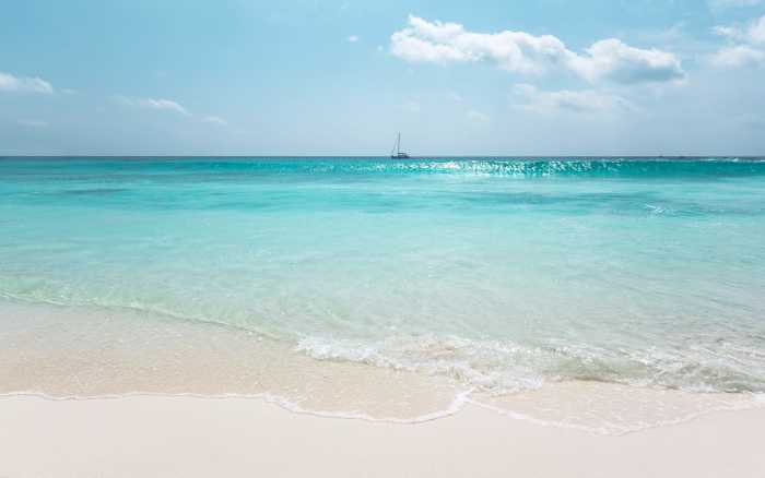 Premium Non-Woven Azur Ocean