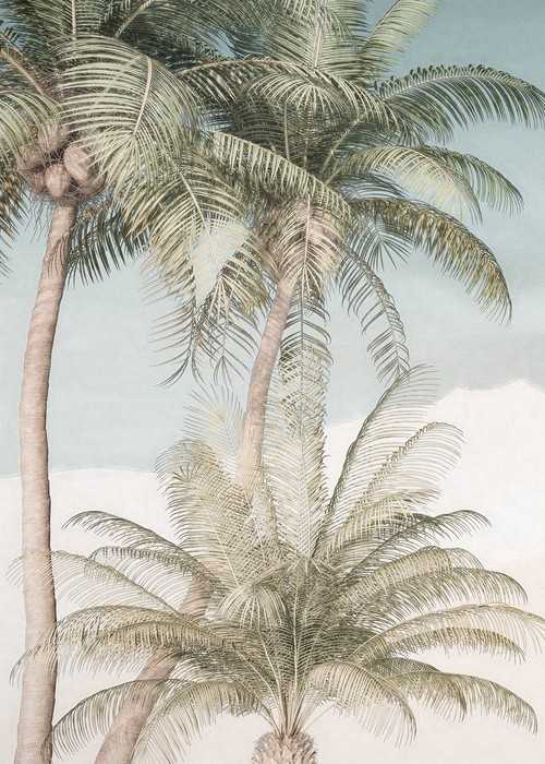 Premium Non-Woven Palm Oasis