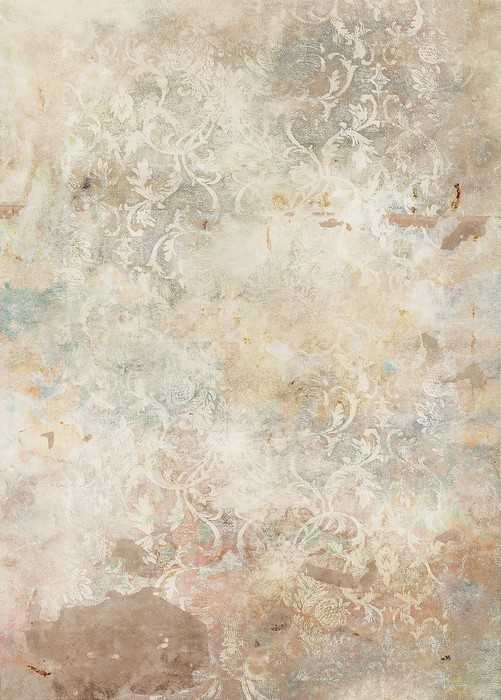 Premium Non-Woven Ancient Times