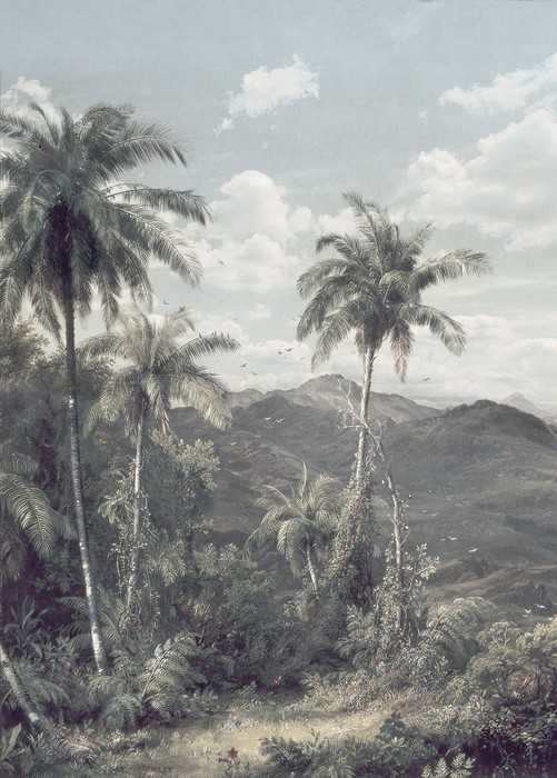 Premium Non-Woven The Exotic Land