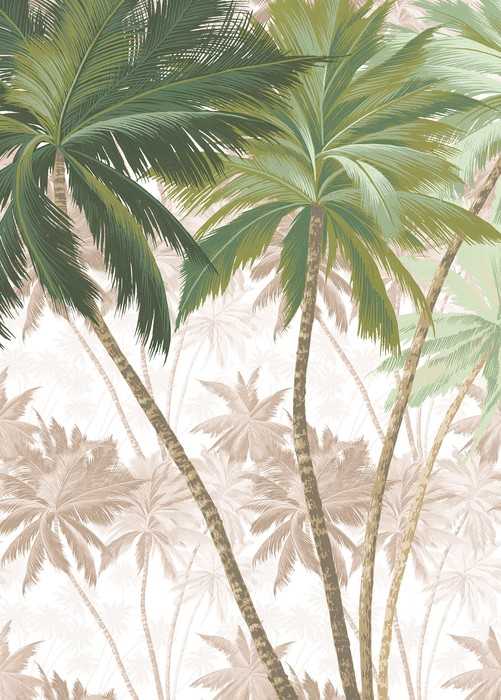 Premium Non-Woven Palmera