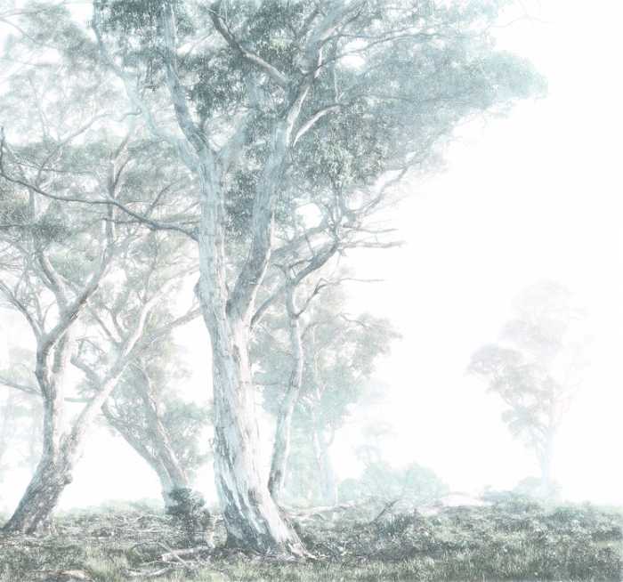 Premium Non-Woven Magic Trees