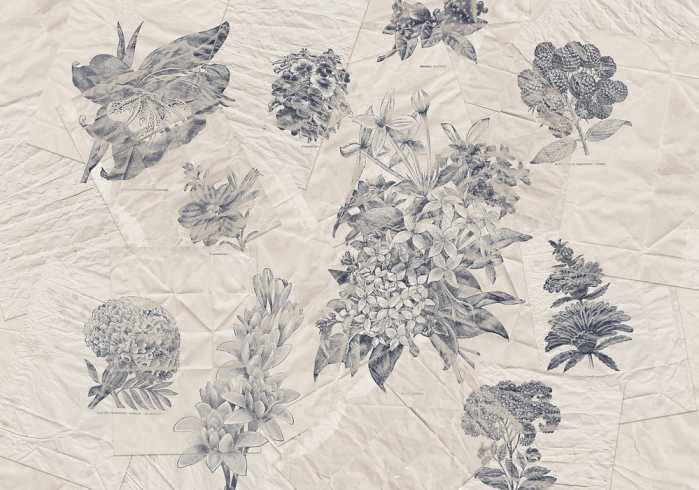 Premium Non-Woven Botanical Papers