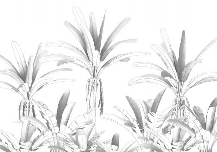 Premium Non-Woven Musa