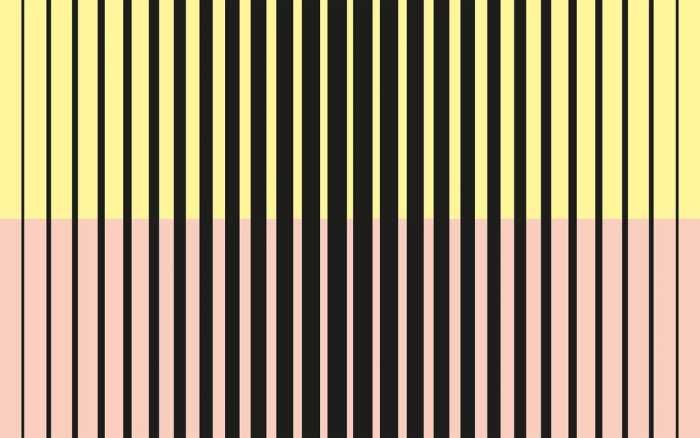 Premium Non-Woven Lamello Mezzo black-yellowapricot