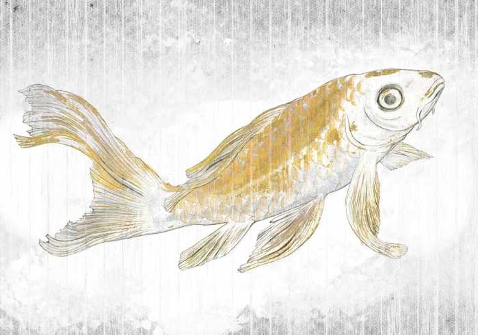 Standard Non-woven Golden Koi