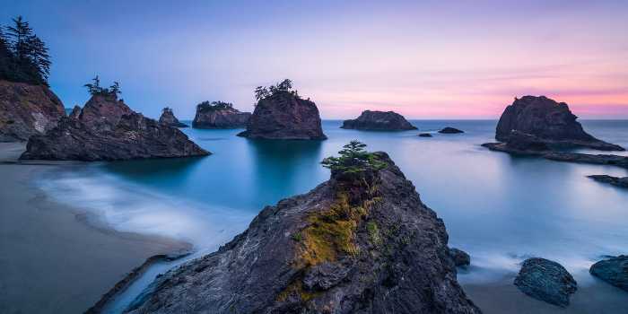 Premium Non-Woven Secret Beach