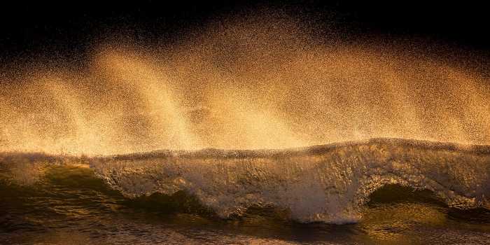 Premium Non-Woven Golden Wave