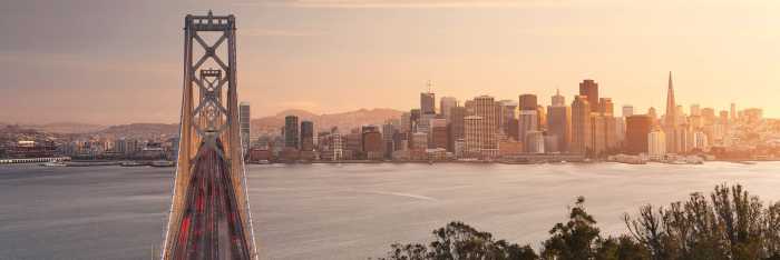 Premium Non-Woven California Dreaming