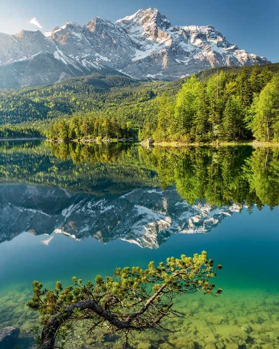 Premium Non-Woven Beautiful Germany