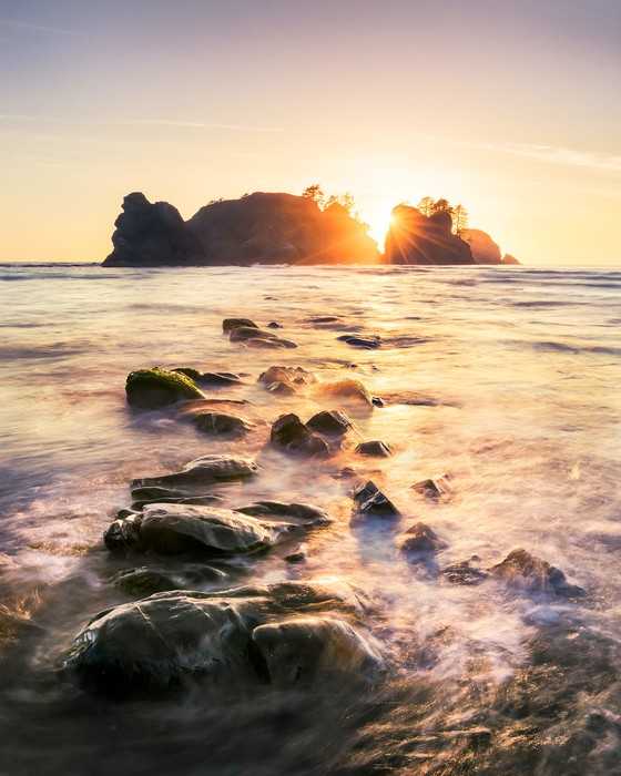 Premium Non-Woven Island Dreaming
