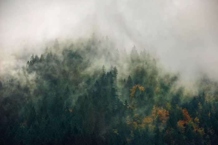 Premium Non-Woven Tales of the Carpathians