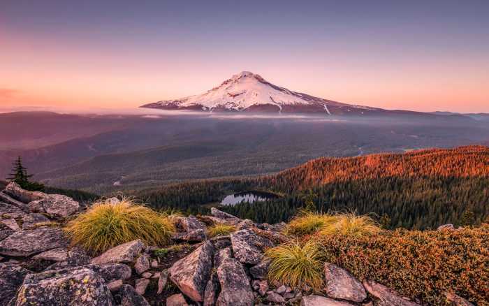 Premium Non-Woven Kingdom of a Mountain