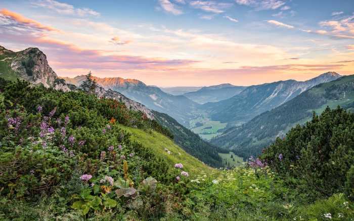 Premium Non-Woven Alps