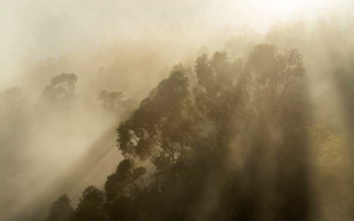 Premium Non-Woven Misty Mountain