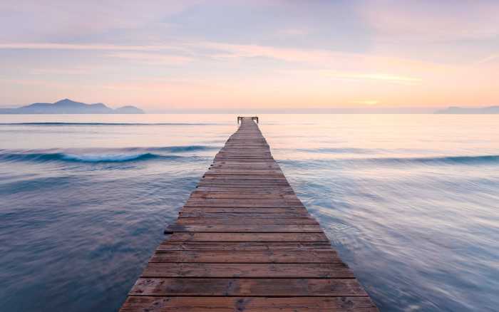Premium Non-Woven Peace