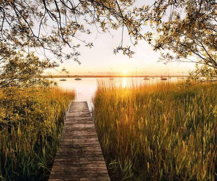 Premium Non-Woven Lakeside