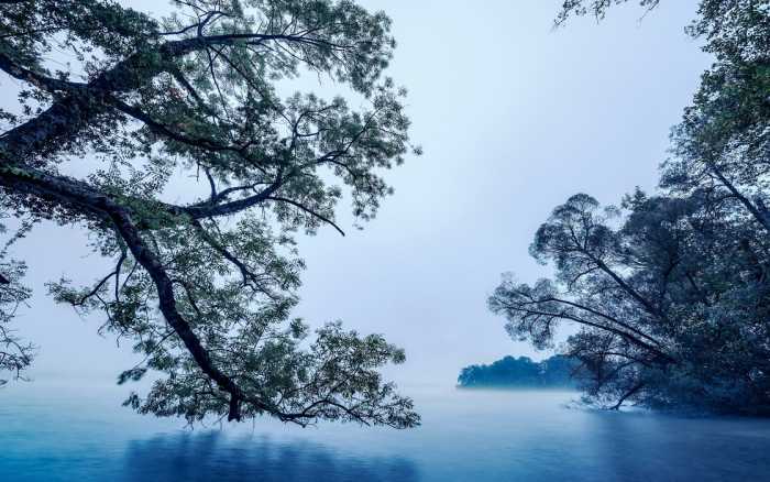 Premium Non-Woven Blue Waters