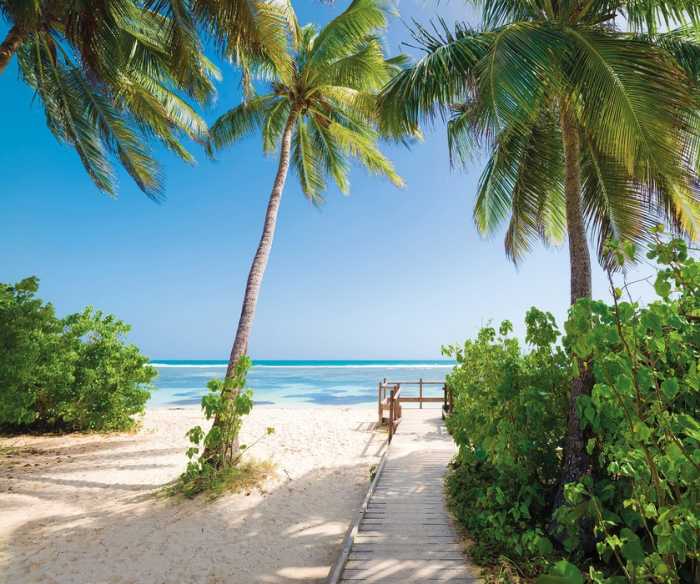 Premium Non-Woven Palmy Beach