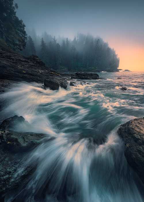 Standard Non-woven Cry of the Sea