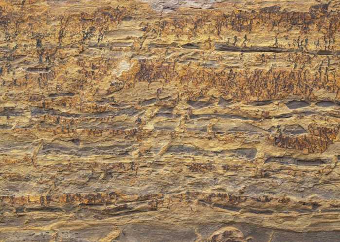 Standard Non-woven African Wall I