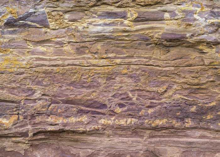 Standard Non-woven African Wall II