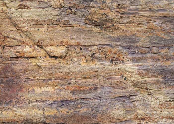 Standard Non-woven African Wall III