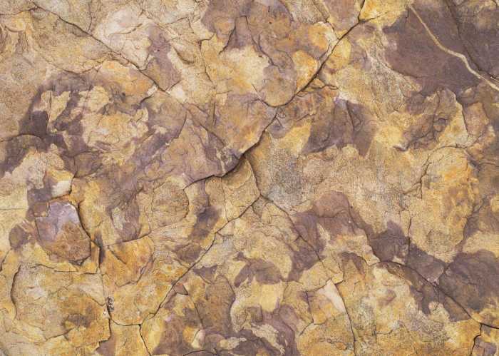 Standard Non-woven African Wall IV