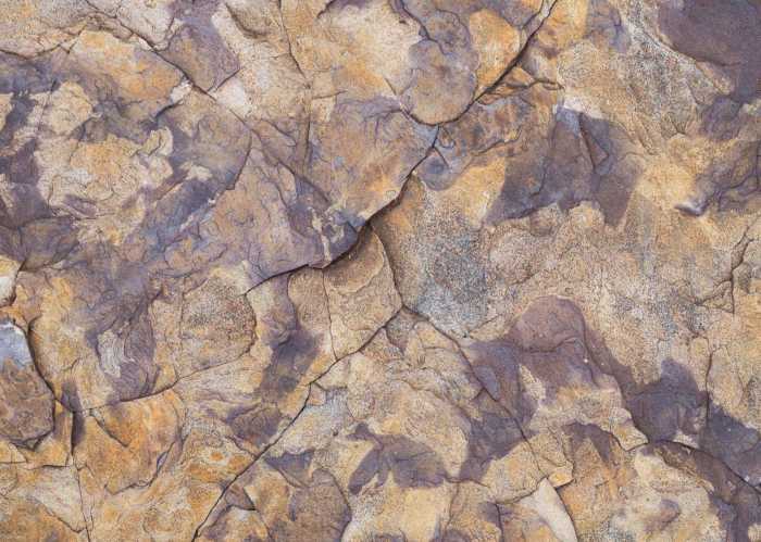 Standard Non-woven African Wall V
