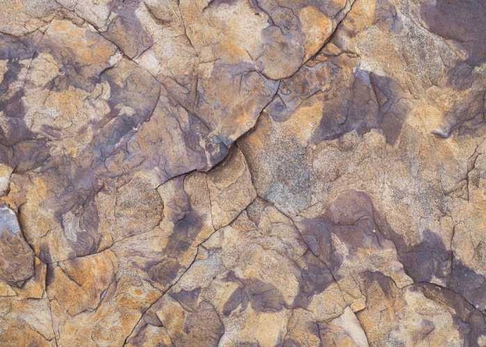 Standard Non-woven African Wall V